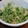 かおりベア♪'s cooksnap of when they made 旬☆新玉ねぎとツナのあえもの.