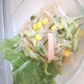 大阪のあゆみちゃん's cooksnap of when they made 簡単☆春雨もやし中華風サラダ.