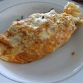 華舞蘭's cooksnap of when they made 鶏そぼろオムレツ.