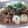 もみじこむぎ's cooksnap of when they made 豚バラ肉と豆腐の煮物.