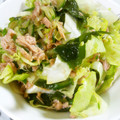 あんのひなめ's cooksnap of when they made ツナとレタスと胡瓜とワカメのぽん酢和え.