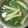 SILK0205's cooksnap of when they made 美味★ほうれん草と舞茸のスープ.