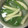 SILK0205's cooksnap of when they made 美味★ほうれん草と舞茸のスープ.