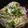 SAKU∞'s cooksnap of when they made ボリューム厚揚げ丼.