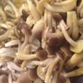 うさこ＾－＾'s cooksnap of when they made レンジで☆きのこの塩麹カレー蒸し.