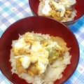 定春３２号's cooksnap of when they made ひき肉で　ふんわり親子丼♪.