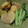 ラッキーちゃぴこ's cooksnap of when they made おやじ犬流！ほたてとかぶの煮物.