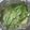 サーフブレイド's cooksnap of when they made 長ネギのぱぱっとホイル焼き！.