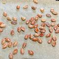 Yuu's cooksnap of when they made 殻ごと美味しい、かぼちゃの種のロースト.