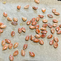 Yuu's cooksnap of when they made 殻ごと美味しい、かぼちゃの種のロースト.