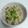 サムきち's cooksnap of when they made あさりとしめじとしょうがの炊き込みご飯.