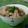 Kaoruʕ•ᴥ•ʔ's cooksnap of when they made ■舞茸の炊き込みご飯■.