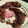 runmaru710's cooksnap of when they made マグロと揚げナスのミルフィーユ.