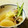 ゴメ子's cooksnap of when they made イカと大根のあっさり煮.