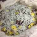 みき1212's cooksnap of when they made さつまいもと黒ゴマのおこわ.
