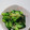 ゆみらんたん's cooksnap of when they made ５分！みょうがときゅうりの洋風箸休め.