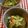 てらよう's cooksnap of when they made もずくのサラダ風.