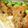 spainの娘's cooksnap of when they made 豆腐ステーキ肉味噌ソースがけ.