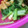 かぴーな's cooksnap of when they made 小松菜と油揚げのうま煮.