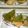 チビチビマンボ's cooksnap of when they made 鮭の和風ムニエル.