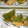 チビチビマンボ's cooksnap of when they made 鮭の和風ムニエル.