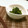 ＊とみこ＊'s cooksnap of when they made 絶品♪｡ﾟ◆ほうれん草のゴマ和え◆.