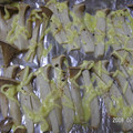 ねねたんママ's cooksnap of when they made 困ったときの♪エリンギのマヨ焼き.
