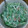 みなーぴー's cooksnap of when they made 水菜と納豆のゴマ油風味の和え物.