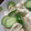 twin-twin's cooksnap of when they made らっきょときゅうりとかいわれのごま油奴.