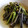 たぬぽぽ's cooksnap of when they made わらびのとろろ昆布和え.