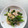 ジジoミミ's cooksnap of when they made 小松菜と豚肉の炒め～小鉢.