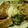 さぁ★たぁ★'s cooksnap of when they made ☆豆腐とキャベツの味噌チーズ炒め☆.