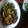 ゆたぱんつ's cooksnap of when they made アスパラと豚肉のオイスターソース炒め.