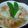 エクトミキュイ's cooksnap of when they made あんかけキャベツ.