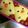 いちごぎゅうにゅう's cooksnap of when they made キャラ弁 キイロイトリ.