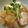 sonop's cooksnap of when they made 煮豆腐.