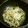 虎蜜柑's cooksnap of when they made あさりと豆苗のパスタ～★★.