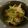 もこもこのびたん's cooksnap of when they made 塩麹入りもやしのマヨネーズ炒め.