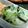 あきぽこ222's cooksnap of when they made 絶品料亭の味。カブの漬物.