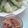 ＭｉｙａＣｏ's cooksnap of when they made トマトたっぷり★濃厚トマトドレッシング.