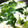 sososomama's cooksnap of when they made 豆腐と小松菜のとろ～りあん.