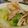yuricchy's cooksnap of when they made ♪あっという間の白菜＆豚バラあっさり煮♪.