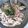 TOSHIKO922's cooksnap of when they made あさりとキノコのスープスパゲティー.