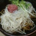 はーとねこ's cooksnap of when they made 冷たいうどんを梅干しで☆.