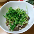 ヒトヨタケ's cooksnap of when they made 豆苗ときのこの煮浸し.