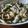 ゆたぱんつ's cooksnap of when they made 豚肉としめじのわさび醤油和え.