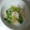 MINKORIN's cooksnap of when they made いかと青梗菜の✿中華炒め✿.
