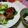 さかいみゆ's cooksnap of when they made シャキシャキ☆蓮根の照り焼きハンバーグ.