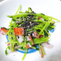 AKIHOma★ma's cooksnap of when they made さっぱりコクうま＊豆苗の塩ゴマ和え.
