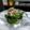 ぽっぽぺぺ's cooksnap of when they made 簡単♡ピーマンとおくらのおかか醤油炒め.
